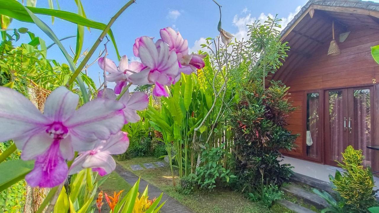 Morning Bali Bungalow ชังกู ภายนอก รูปภาพ