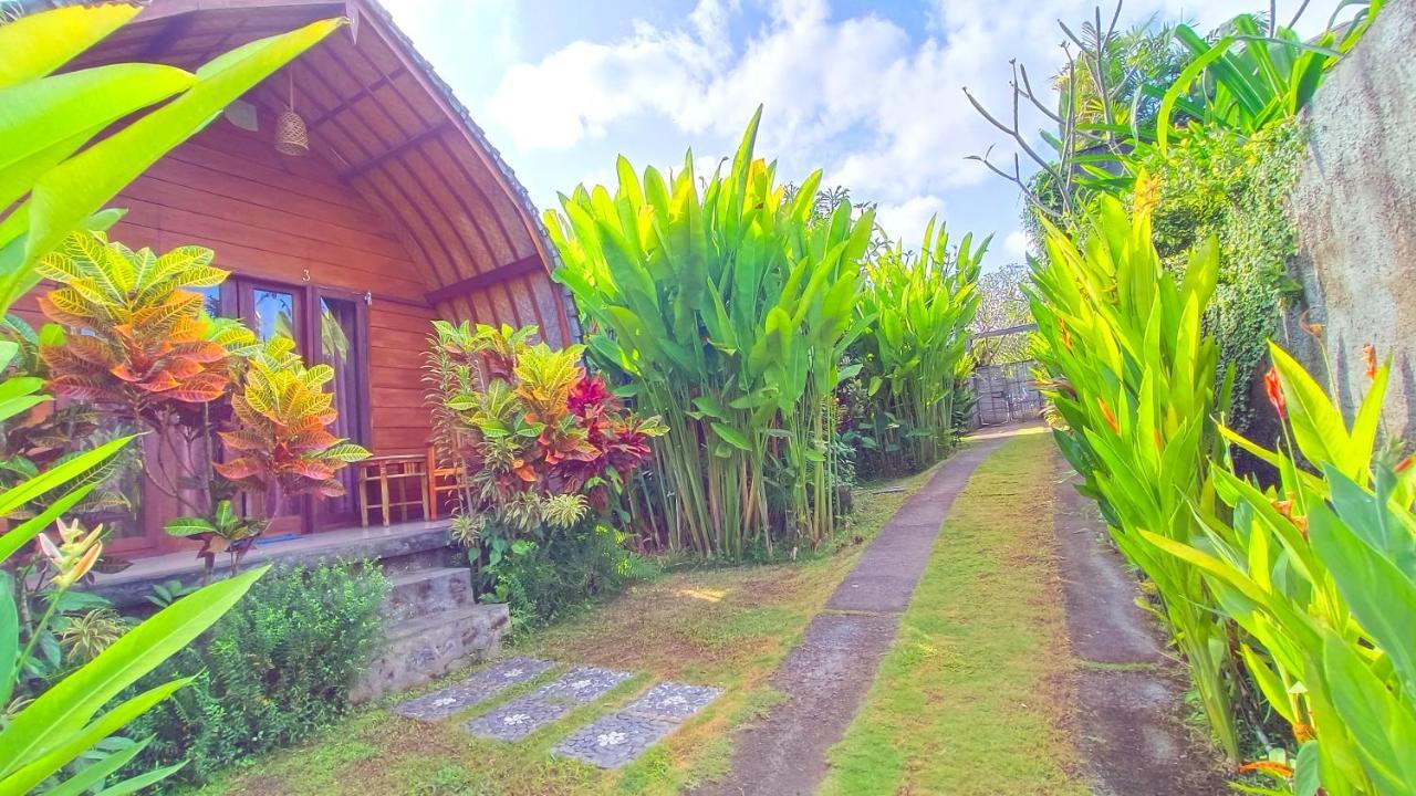 Morning Bali Bungalow ชังกู ภายนอก รูปภาพ