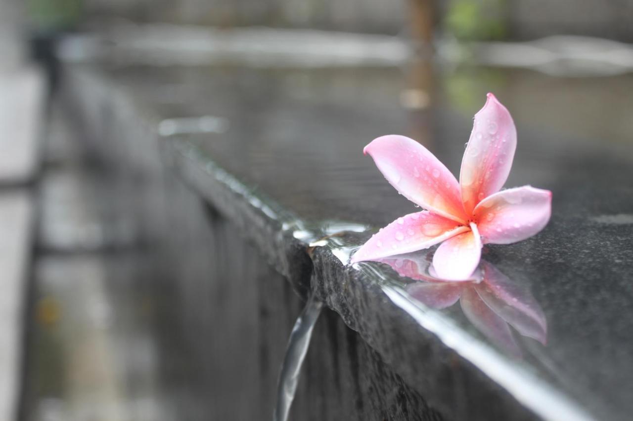 Morning Bali Bungalow ชังกู ภายนอก รูปภาพ